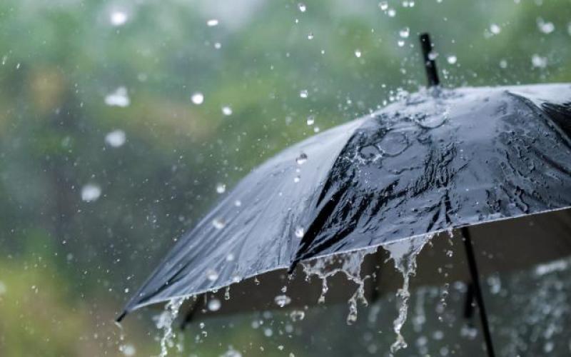 امطار غزيرة شمال ووسط المملكة تبدا فجر الخميس